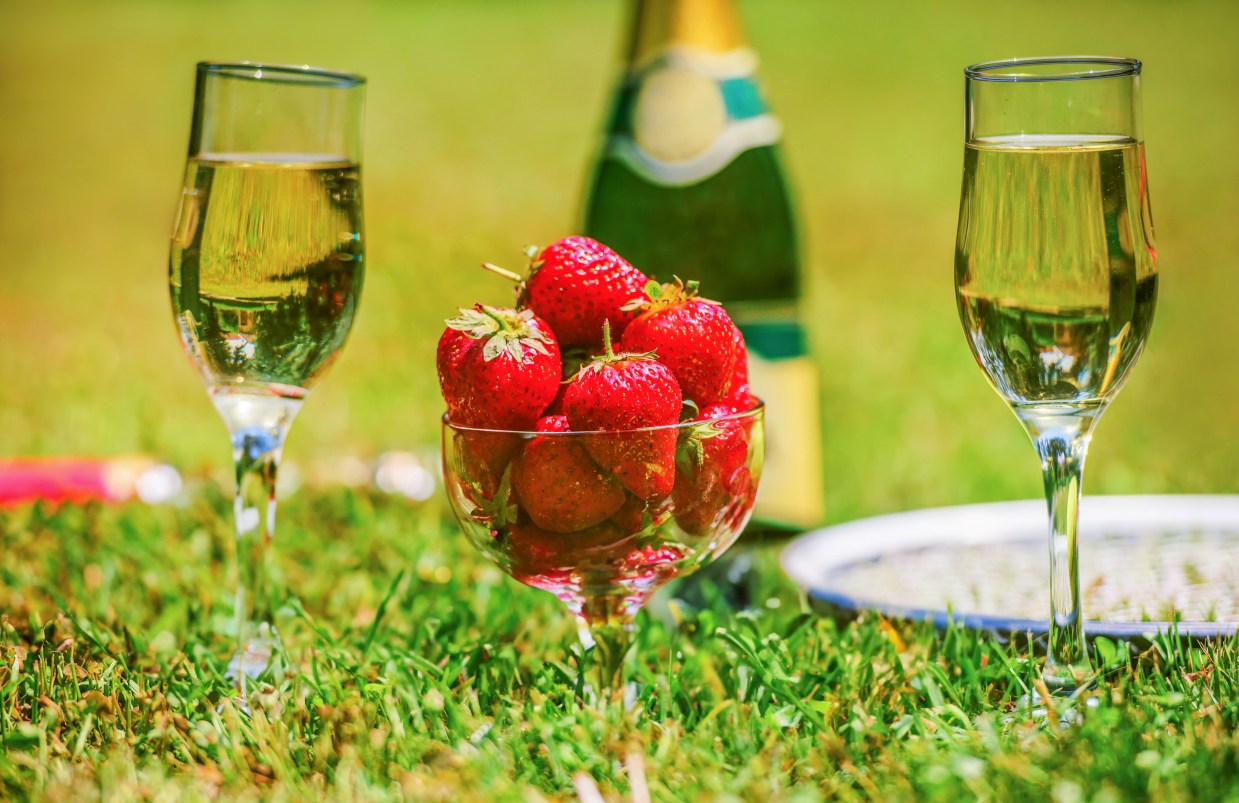 Croquet BBQ und Wein